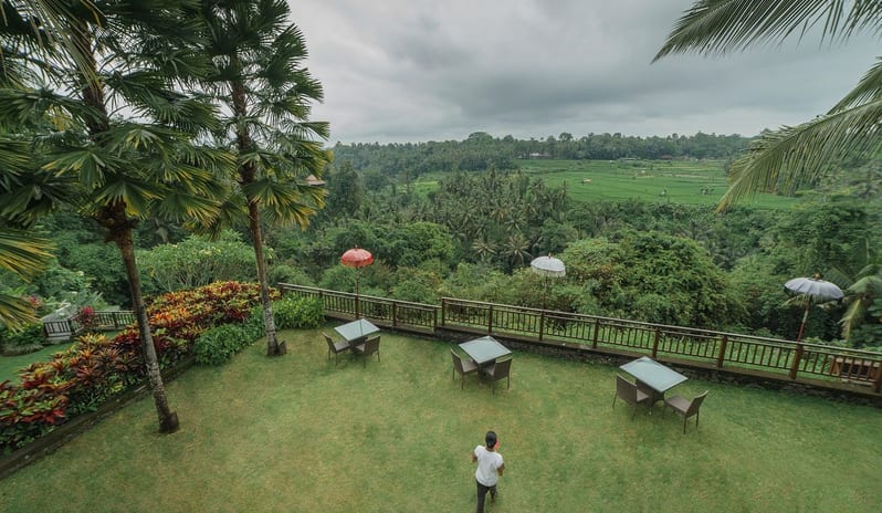THE SCENE TERRACE